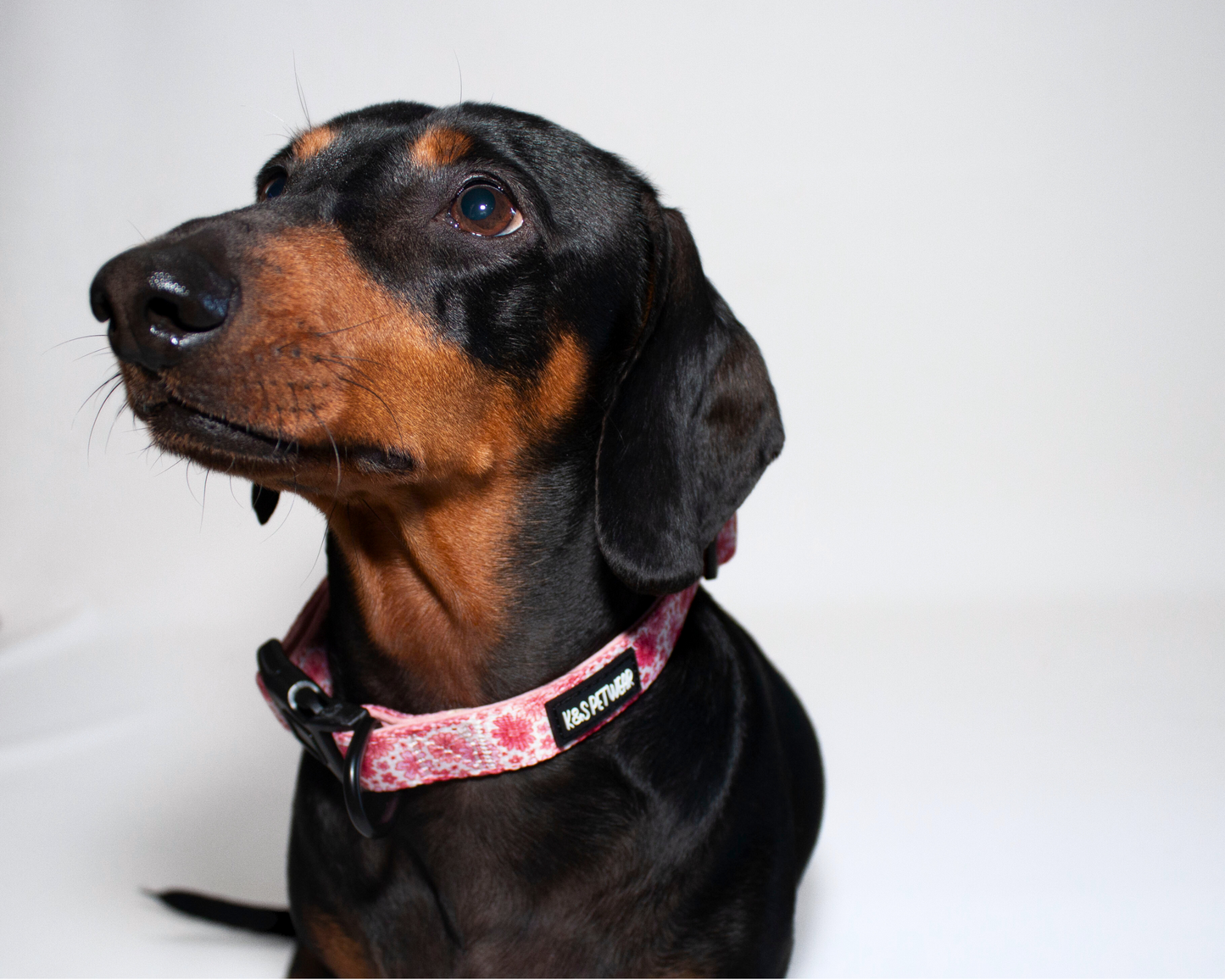 Elly's Flower Power: Collar