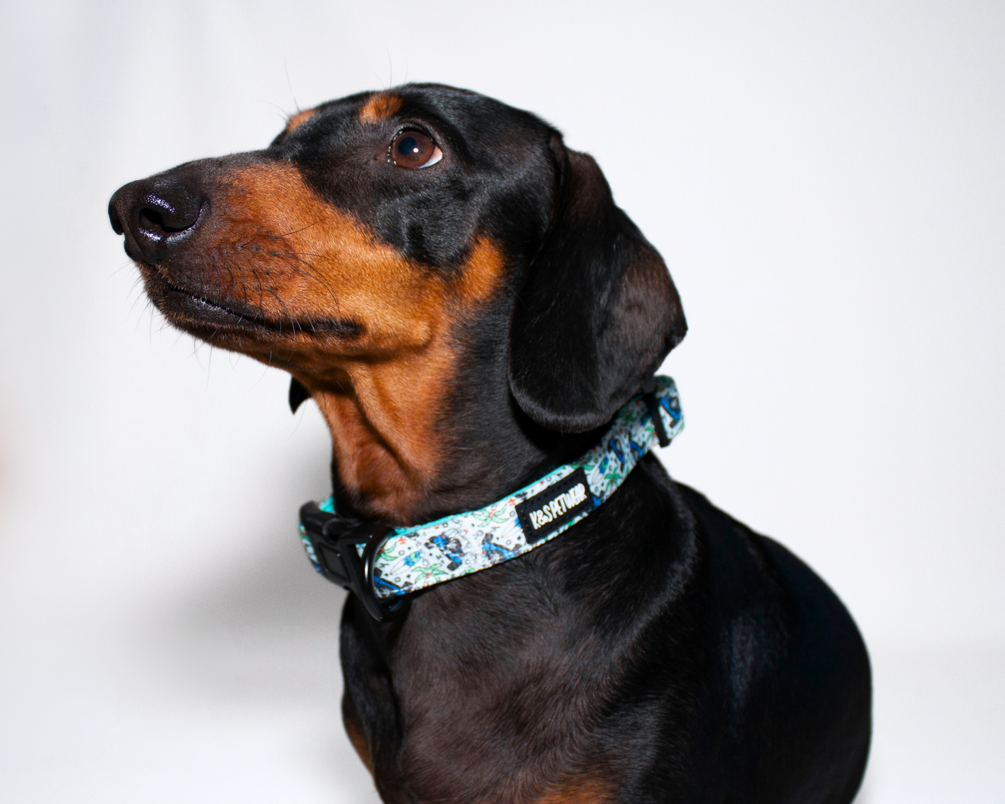 Jeepin' Around: Collar