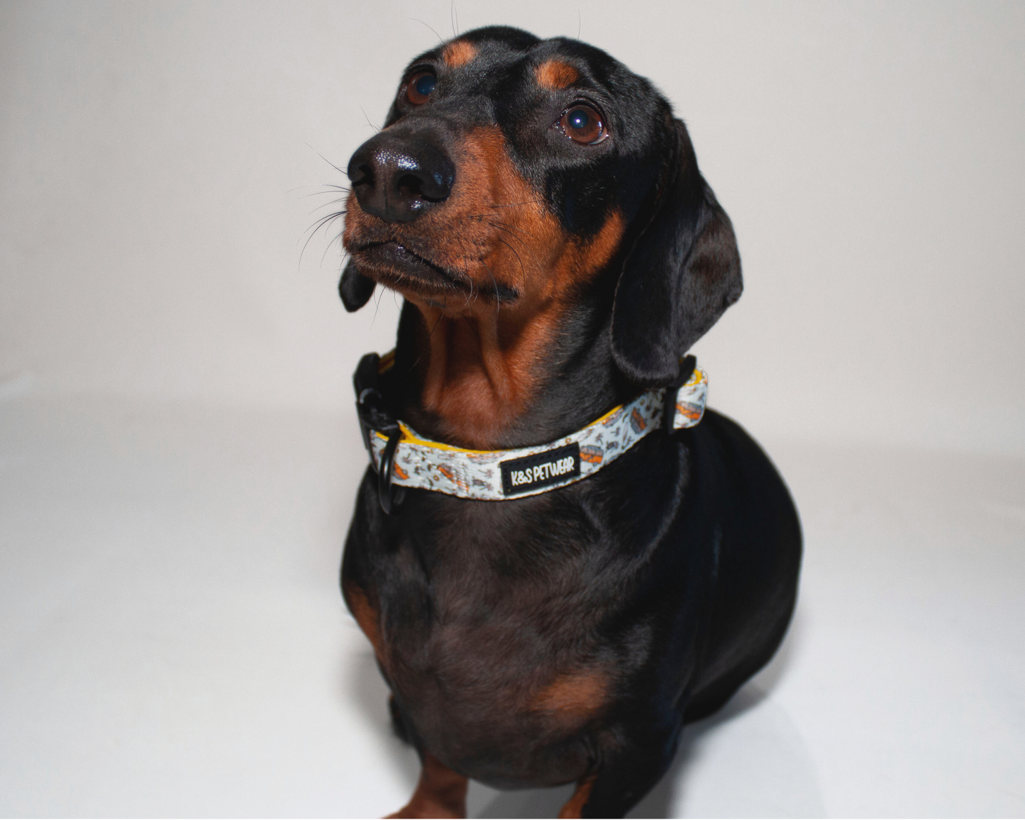 Livin' the Dream: Collar