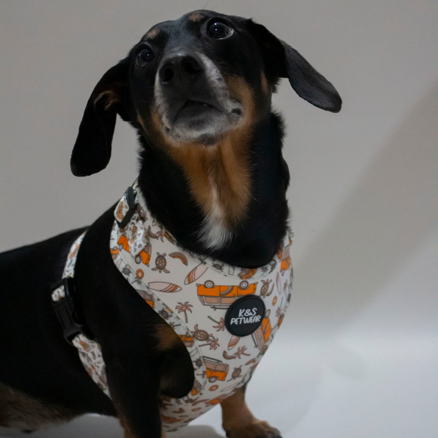 Livin' the Dream: Adjustable Harness