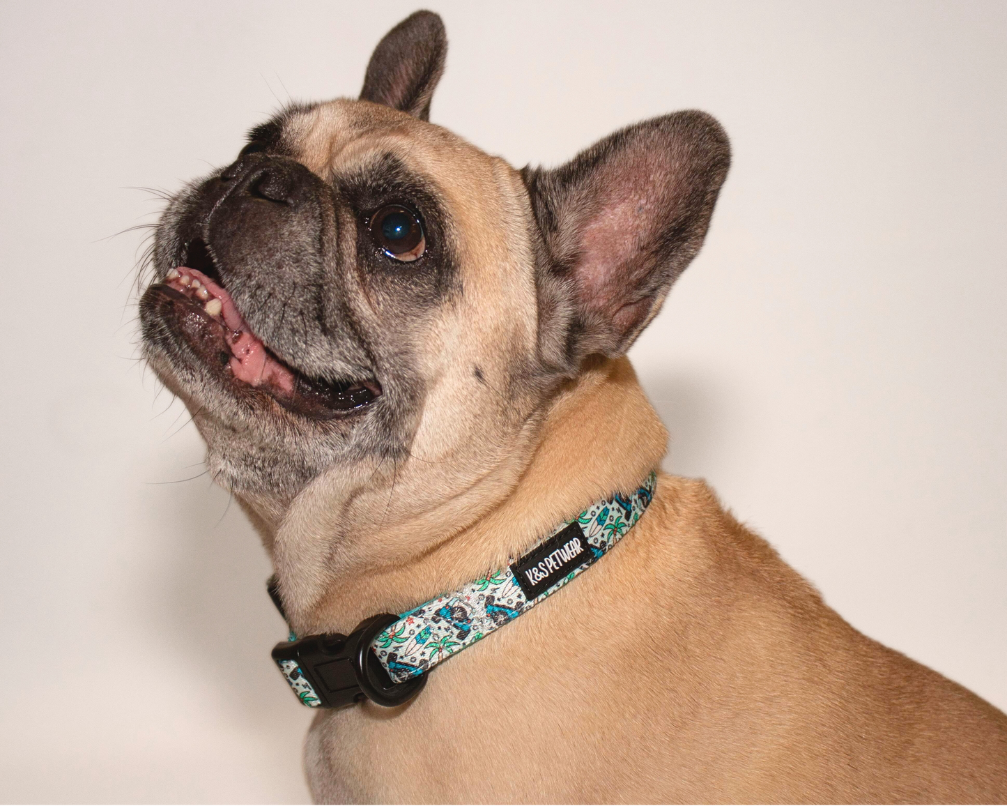 Jeepin' Around: Collar