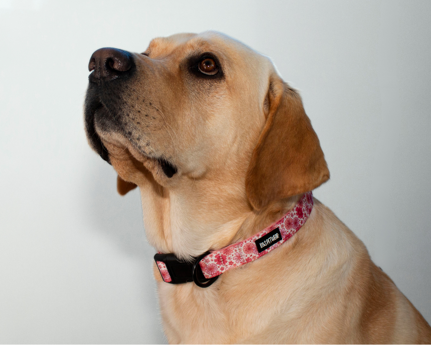 Elly's Flower Power: Collar