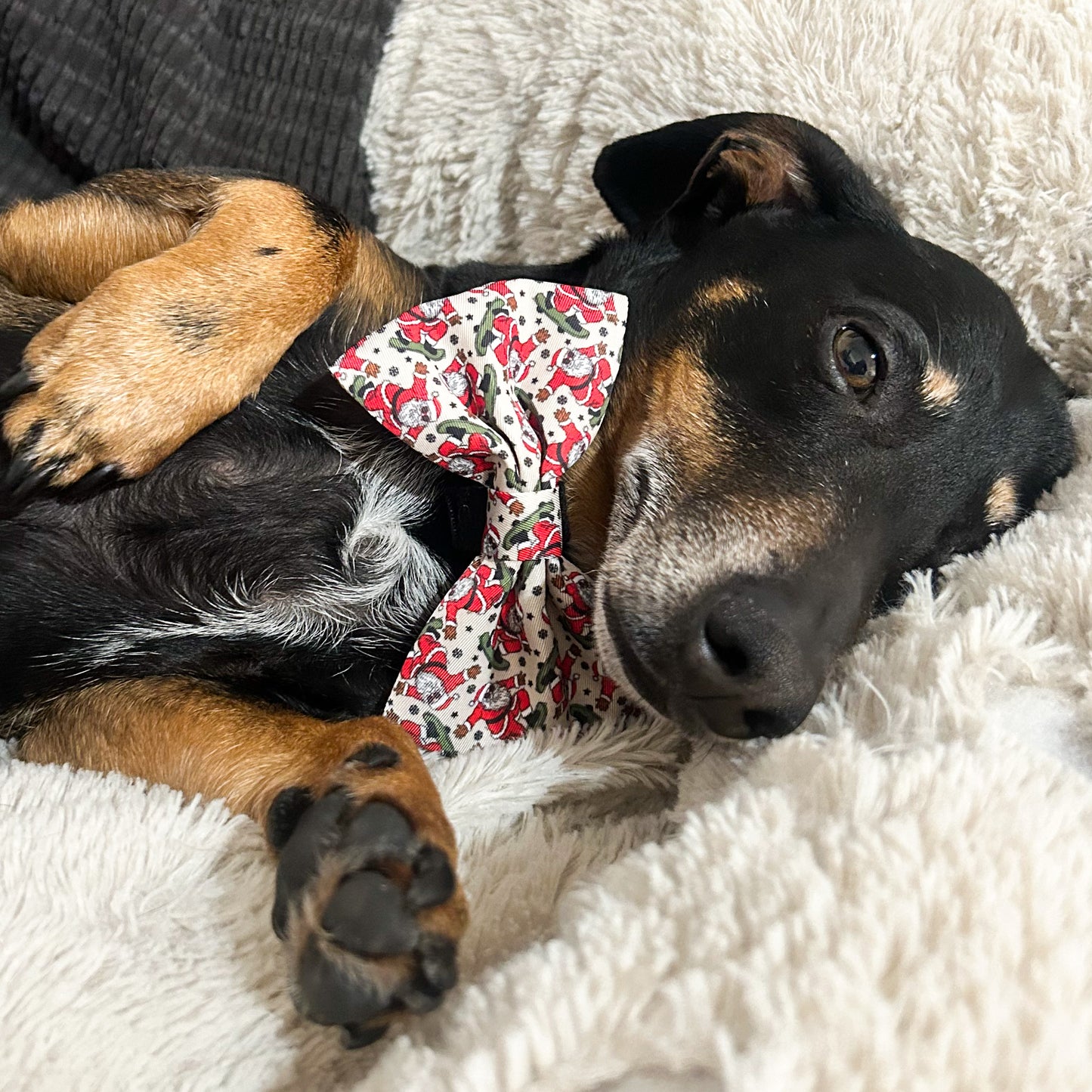 Skatin' Santa: Bow Tie